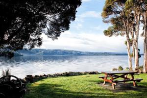 a picnic table sitting on the grass next to a lake at Shack on the Bay - A Lovely Bayside Cabin in Strahan