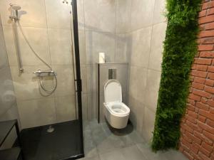 a bathroom with a toilet in a shower stall at Penthouse for 4 people with sea view in Dziwnówek