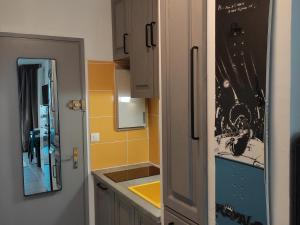 Kuchyňa alebo kuchynka v ubytovaní Studio cosy 22m² rénové - 5 pers, pieds des pistes, commerces et télécabines à proximité - FR-1-689-119