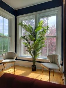 Fotografie z fotogalerie ubytování The Maple Shade Suite v destinaci Sussex + 12 fotografií