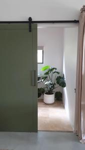a green door in a room with a potted plant at Ten Acres in Beechmont