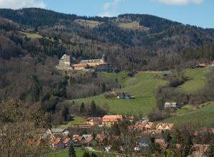 Ptičja perspektiva nastanitve Gasthof Leibenfelderstub'n