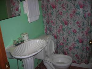 a bathroom with a white toilet and a sink at Deer trail Motel in Wisconsin Dells