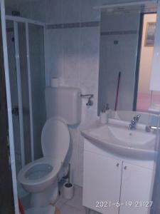uma casa de banho com um WC e um lavatório em Apartments Vjeko - 200 m from sea em Nin