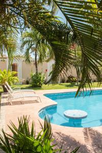 Fotografie z fotogalerie ubytování Habitación privada con alberca v destinaci Chetumal