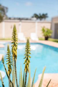Fotografie z fotogalerie ubytování Habitación privada con alberca v destinaci Chetumal