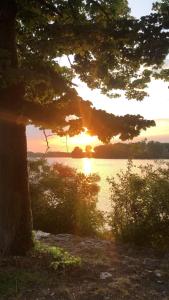 una puesta de sol sobre un cuerpo de agua con un árbol en La Finestra sul Po - Agriturismo, en Monticelli dʼOngina