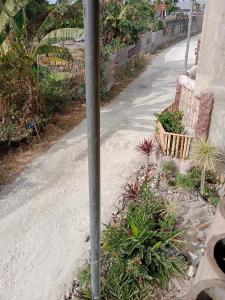 un poste al lado de una carretera con plantas en Titanic's Nipa Hut, en Moalboal