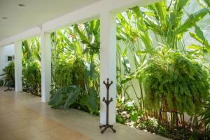 Fotografie z fotogalerie ubytování Habitación privada con alberca v destinaci Chetumal