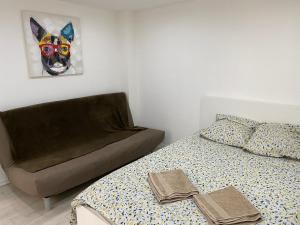 sypialnia z łóżkiem i portretem psa na ścianie w obiekcie Appartement 2ème étage 42m2 hyper centre ville / parking gratuit w mieście Riom