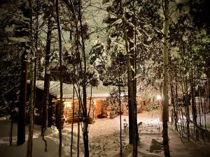 Arctic Lodges Lapland Ski in Studio, slopes, ski tracks, National Park, free Wi-Fi - Lapland Villas v zimě