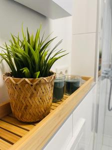 a plant in a basket sitting on a shelf in a bathroom at Ferienwohnung am Hengsteysee in Herdecke