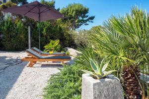 Vonkajšia záhrada v ubytovaní Holiday House de Finis + 37 fotografií
