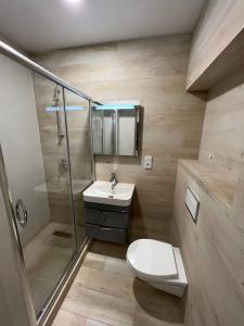 een badkamer met een toilet, een douche en een wastafel bij Chorsu Apartment 2 in Tasjkent