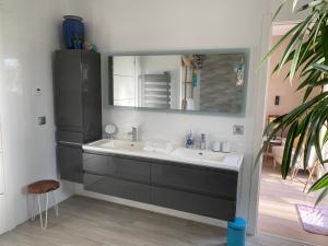 La salle de bains est pourvue d'un lavabo et d'un miroir. dans l'établissement Escapades Lointaines, à Perpignan
