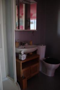 La salle de bains est pourvue d'un lavabo, de toilettes et d'un miroir. dans l'établissement Nénuphar, à Autun