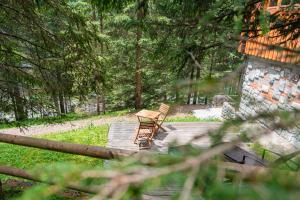 Zahrada ubytování Vila Triglav on Pokljuka