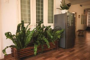 a bunch of plants in a room with a refrigerator at Mistygreen Homestay Thekkady in Thekkady