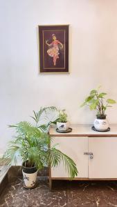 two potted plants sitting on top of a cabinet at Hotel Paulino in Madgaon