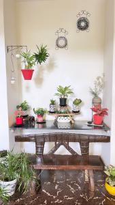 a table with a bunch of potted plants on it at Hotel Paulino in Madgaon