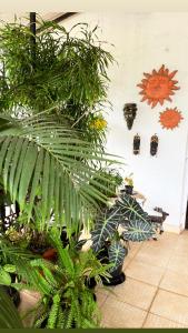 マルガオにあるHotel Paulinoの緑の植物がたくさん植えられた部屋