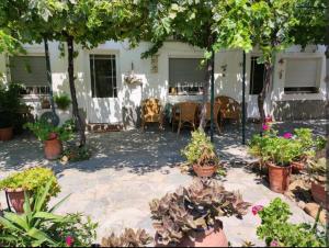 a patio with a bunch of potted plants at Nicola's House in Myrina +10 photos
