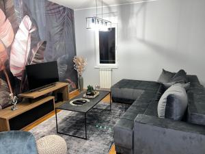 uma sala de estar com um sofá e uma televisão em Fairy tale apartment em Dušanovac (historical)