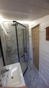 La salle de bains est pourvue d'un lavabo et d'une douche en verre. dans l'établissement Scandidim Lutsk, à Loutsk