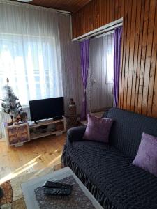 a living room with a couch and a television at Smeštaj u Novoj Varoši, Zlatar in Nova Varoš