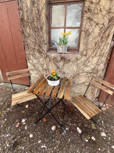 dwie ławki siedzące obok okna z doniczką kwiatów w obiekcie Apartment im Grünen w mieście Lichtenstein
