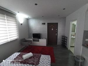 een slaapkamer met een bed, een televisie en een deur bij Apartmani Kula in Tuzla