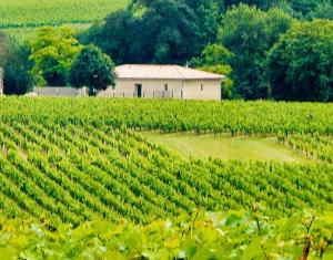 Zahrada ubytování La Grande Escale des Brias