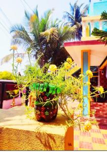 Zahrada ubytování NISARG HOME STAY near Bus Stand Malvan