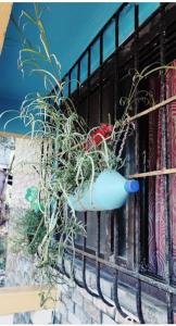 Fotografie z fotogalerie ubytování NISARG HOME STAY near Bus Stand Malvan v destinaci Malvan