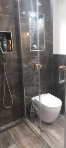 a bathroom with a toilet and a glass shower at Private Apartment Laatzen City in Hannover