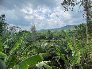 uitzicht op een jungle met palmbomen bij เซเว่นอิน in Ban Huai Phlu