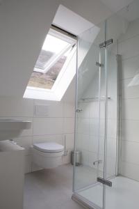 a bathroom with a shower and a toilet and a skylight at Ferienwohnung Vino in Cochem