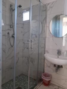 un bagno con doccia e lavandino di HOTEL VILLA ELISA a Rimini