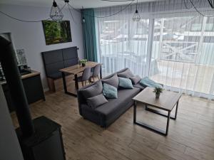 a living room with a couch and a table at Domek na Roztoczu Obrocz 73C z SAUNĄ in Zwierzyniec
