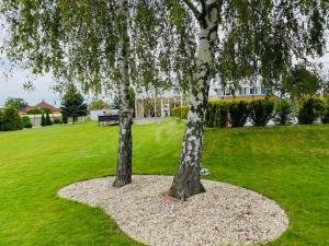 two trees in a park with a bench in the grass at Kerkira pub&restaurant in Veľké Úľany