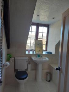 a bathroom with a toilet and a sink at The Manor House, Curry Mallet in Taunton