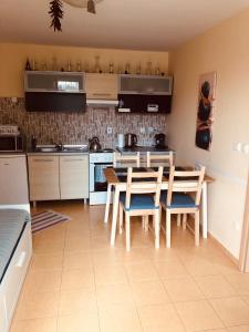 Kuchyň nebo kuchyňský kout v ubytování Apartmán Corvin