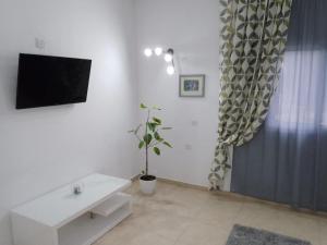 uma sala de estar com uma televisão e um vaso de plantas em Mountain Kathikas apartments em Kathikas