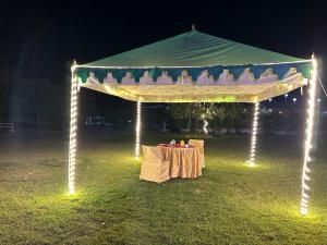 Fotografie z fotogalerie ubytování MODHERA SUNRISE RESORT - Tents Bhungas Jungle Restaurants & Candlelight Dining v destinaci Kalri + 86 fotografií