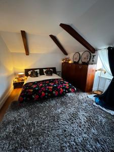 um quarto com uma cama e um tapete grande em Villa Bonnabel em Nancy