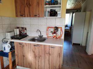 a kitchen with a sink and a refrigerator at Tahi Apartman in Tahitótfalu
