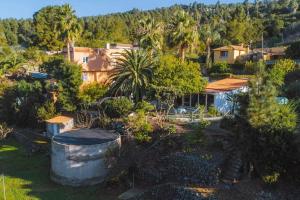 an aerial view of a yard with trees and houses at Casita Gopal in Icod de los Vinos