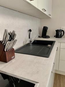 eine Küche mit einer Spüle und einer Arbeitsplatte in der Unterkunft Moderne Wohnung in Heskem bei Marburg (Lahn) 