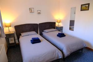 two beds in a room with blue pillows on them at Lovely 1-bedroom apartment with free parking in Inverness