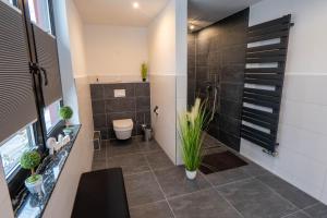 a bathroom with a shower and a toilet at Harznester - Dein Nest am See in Thale